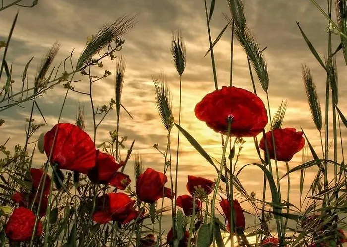 Sunset Διαμέρισμα *