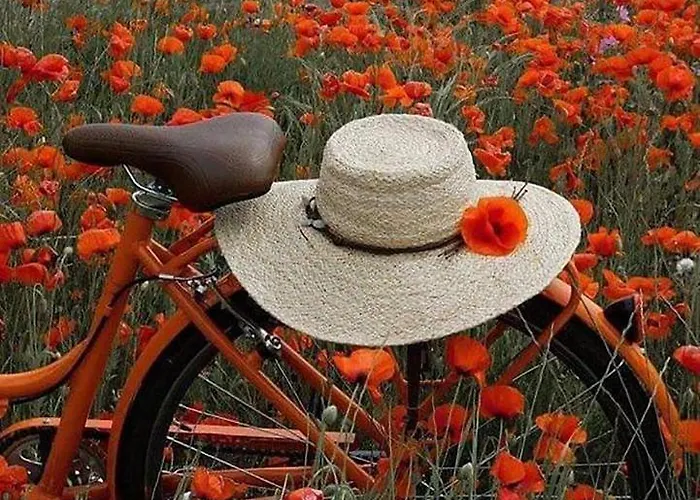 דירה Sunset Fonyód